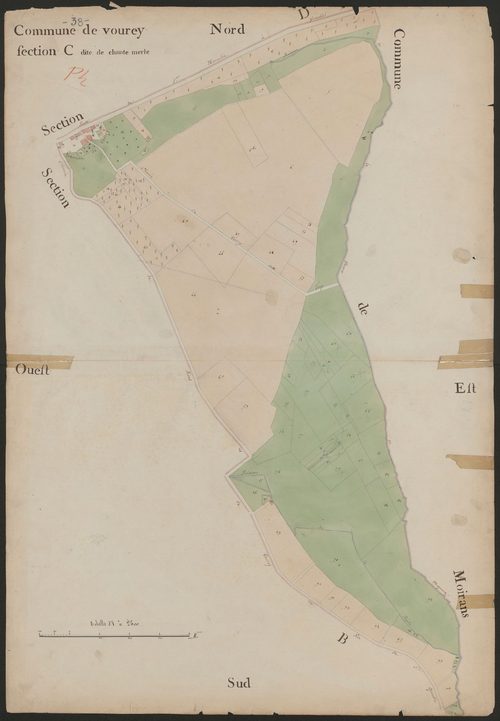 4P4/428 Section C