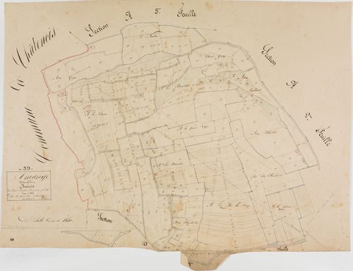Amange, section D, la Prairie, feuille 3.géomètre : Guyon