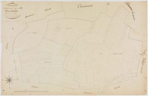 Annoire, section C, Buchaille, feuille 2.géomètre : Vermot Auguste