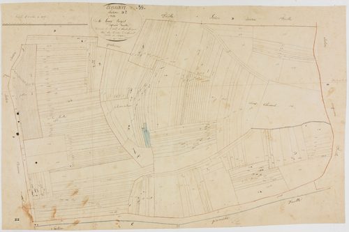 Annoire, section D, la Longeroye, feuille 7.géomètre : Oilivier Jean-Louis