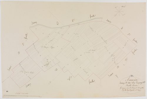 Annoire, section D, la Longeroye, feuille 6.géomètre : Oilivier Jean-Louis