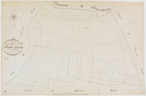 Annoire, section B, le Bois Cornu, feuille 3.géomètre : Vermot Auguste