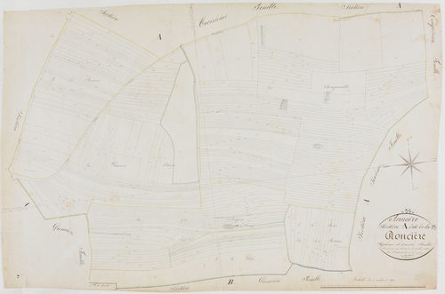 Annoire, section A, la Roncière, feuille 7.géomètre : Vermot Auguste