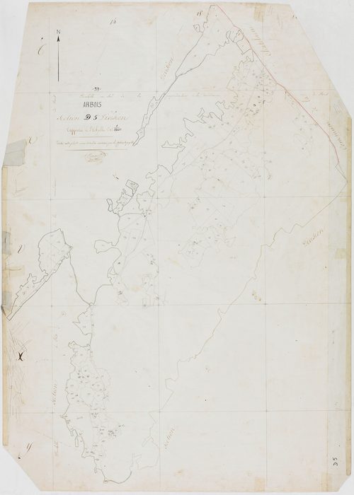 Arbois, section D, feuille 5. [1810] géomètre : Perrard