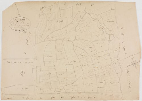 Arinthod, section D, les Paluay, feuille 3.géomètre : Billet