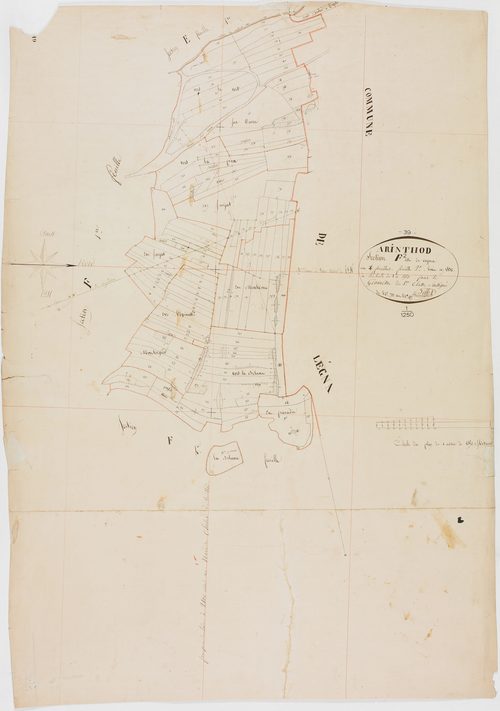 Arinthod, section F, Vogna, feuille 2.géomètre : Billet
