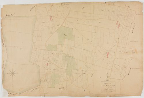 Arthenas, section B, les Rippes, feuille 5.géomètre : A. Grillot