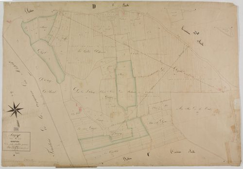 Augea, section C, les Rompois, feuille 4.géomètre : Epailly