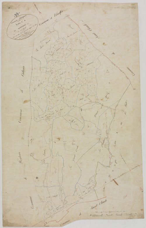 Avignon-lès-Saint-Claude, section C, la Montagne, feuille unique.géomètre : Rebour, Camuset et Laplace