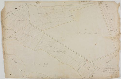 Balaiseaux, section A, Praneuf, feuille 2.géomètre : Deniset