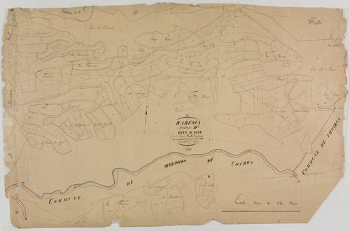 Barésia-sur-l'Ain, section D, Auge, feuille 3.géomètre : Dussauget