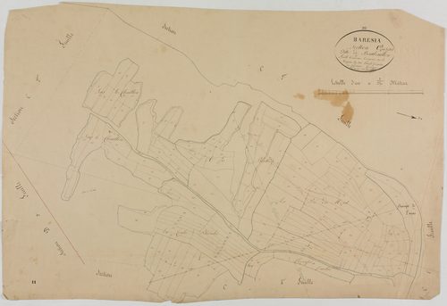 Barésia-sur-l'Ain, section C, Bourbouillon, feuille 3.géomètre : Rosset fils