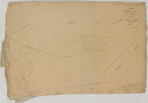 Barésia-sur-l'Ain, section A, Saint-Martin, feuille 5.géomètre : Rosset