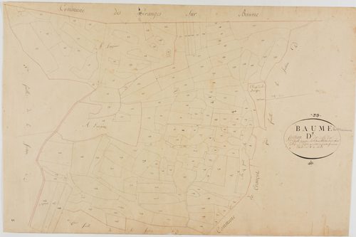 Baume-les-Messieurs, section D, la Fin d'An, feuille 7.géomètre : Petite