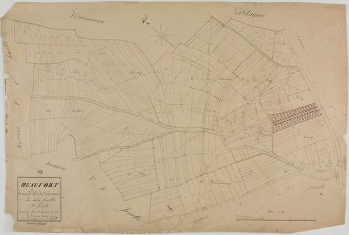 Beaufort, section C, la Condamine, feuille 3.géomètre : Cordier