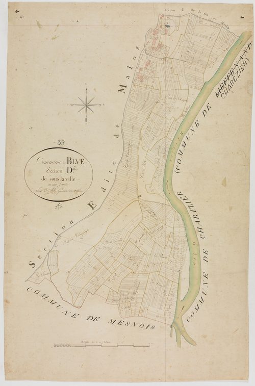 Blye, section D, sous la Ville, feuille unique.géomètre : Félix