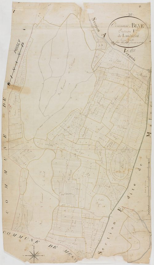 Blye, section F, Landriziat, feuille unique.géomètre : Félix