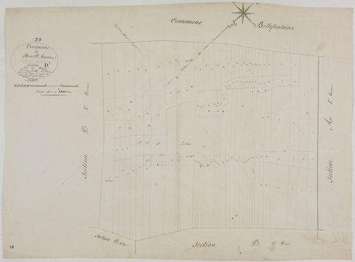 Bois-d'Amont, section D, le Vivier, feuille 1.géomètre : Morel