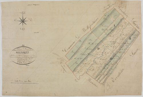 Bois-d'Amont, tableau d'assemblage.géomètre : Rosset