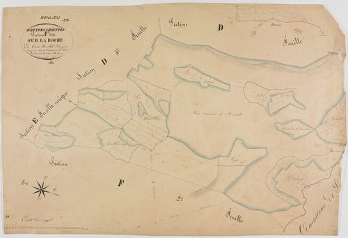 Bonlieu, section F, la Roche, feuille 1.géomètre : Lamare
