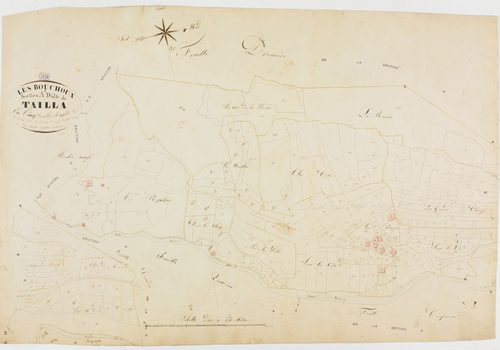 Bouchoux (Les), section A, Tailla, feuille 3.géomètre : Guyard