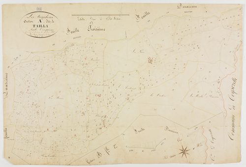 Bouchoux (Les), section A, feuille 5.géomètre : Mathieu