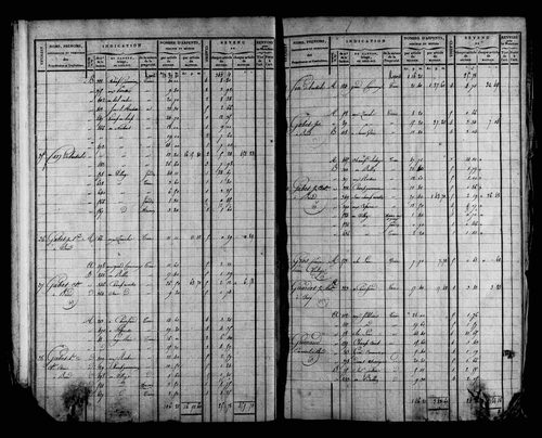 Etat de sections et matrice foncière.