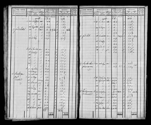Etat de sections et matrice foncière.