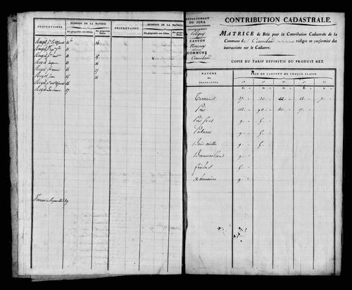 Etat de sections et matrice foncière.