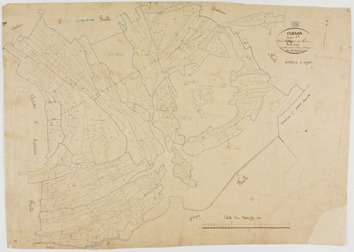 Cernon, section C, le Village, feuille 6. géomètre : Dussauget