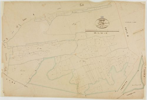 Cernon, section C, le Village, feuille 1.géomètre : Dussauget
