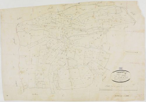 Cernon, section C, le Village, feuille 7.géomètre : Paget