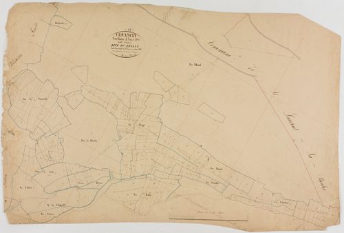 Cesancey, section A, le Levant, feuille 3.géomètre : Dussauget