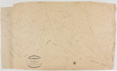 Charchilla, section A, le Rognon, feuille 3.géomètre : Cordier