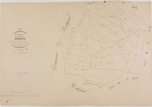 Châtenois, section D, la Menerotte, feuille 1.géomètre : Lamare