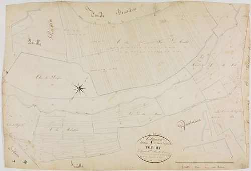 Chaussin, section C, la Fin de Toulot, feuille 3.géomètre : Mathieu