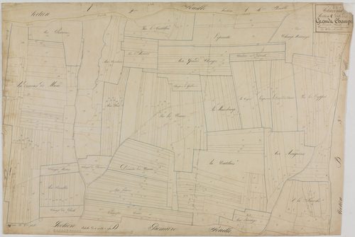 Chavéria, section C, les Grands Champs, feuille 1.géomètre : H. Deniset