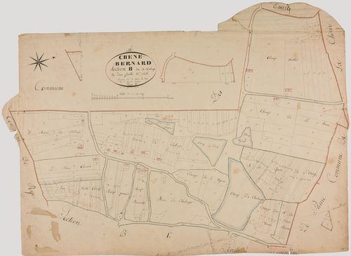 Chêne-Bernard, section B, Chalonge, feuille 2.géomètre : Bénier Sre