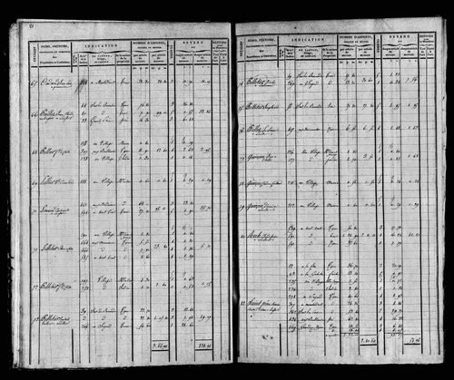 Etat de sections et matrice foncière.