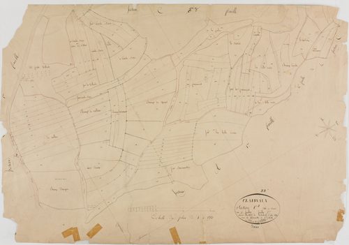 Clairvaux-les-Lacs, section C, Bériat, feuille 2.géomètre : Billet