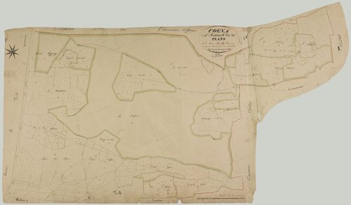 Cogna, section C, les Plans, feuille 1.géomètre : Grenier