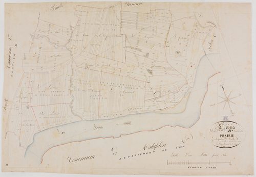 Coisia, section D, la Prairie, feuille 4.géomètre : Laplace