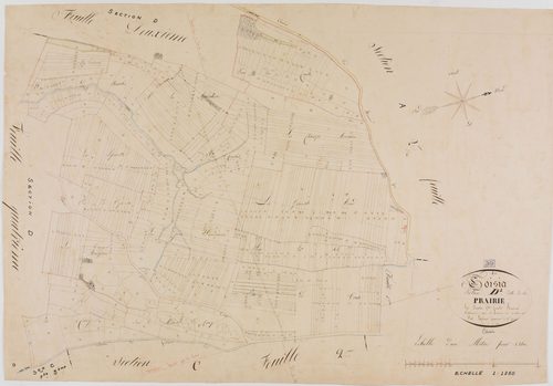 Coisia, section D, la Prairie, feuille 1.géomètre : Laplace