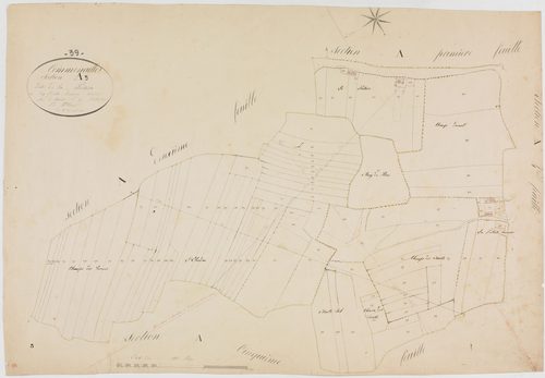 Commenailles, section A, la Piolière, feuille 3.géomètre : Olivier aîné