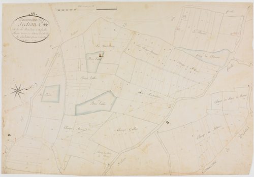 Commenailles, section C, la Pinaudière, feuille 1.géomètre : Sauldubois