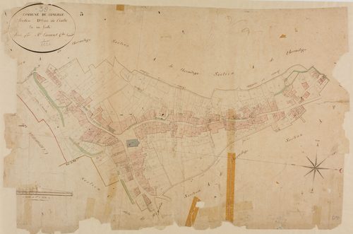 Conliège, section D, le Centre, feuille unique.géomètre : Camuset