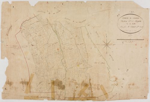 Conliège, section C, Moyrin, feuille unique.géomètre : Camuset