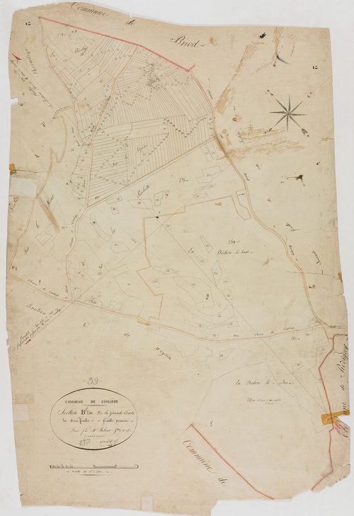 Conliège, section B, la Grande Combe, feuille 1.géomètre : Rebour