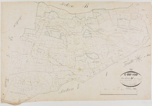 Cornod, section D, Thorignat, feuille 2.géomètre : Berthet