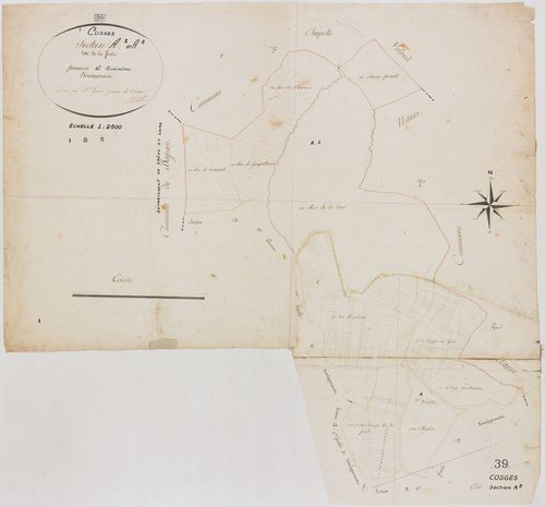 Cosges, section A, la Forêt, feuilles 1 et 3.géomètre : Grenot